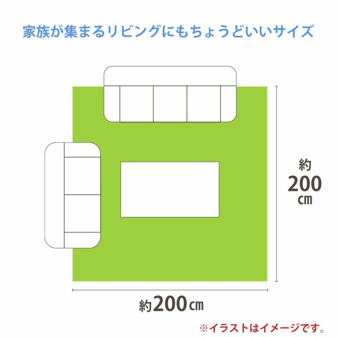 ラグ 国産 カーペット 日本製 防ダニ 「レセルバ」 グリーン 200×200