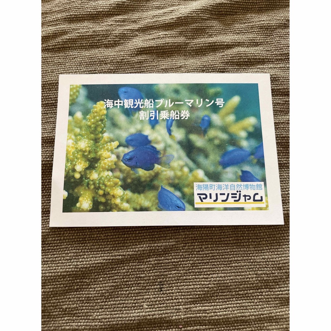 徳島県海部郡海陽町海中観光船ブルーマリン号割引乗船券 チケットの優待券/割引券(その他)の商品写真