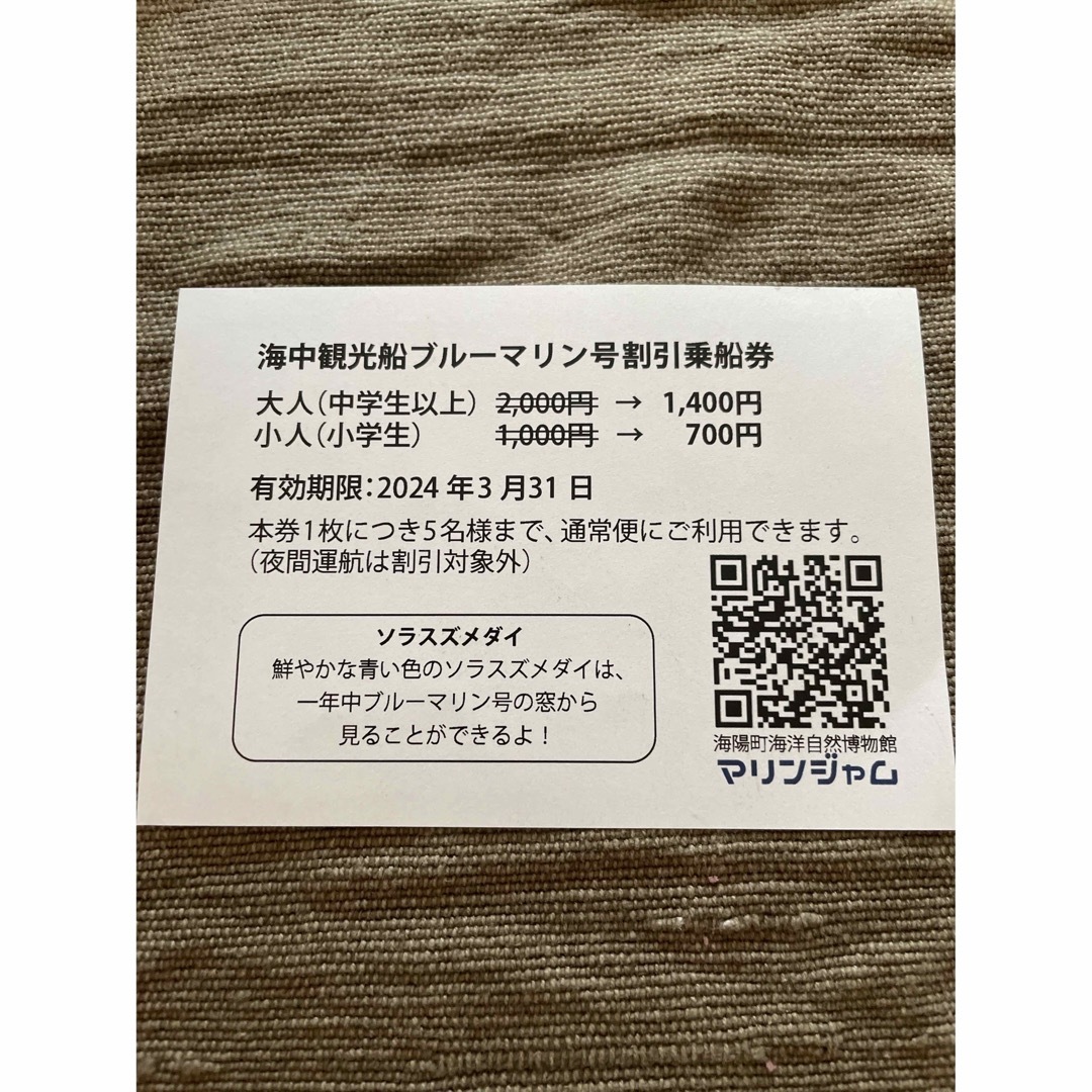 徳島県海部郡海陽町海中観光船ブルーマリン号割引乗船券 チケットの優待券/割引券(その他)の商品写真