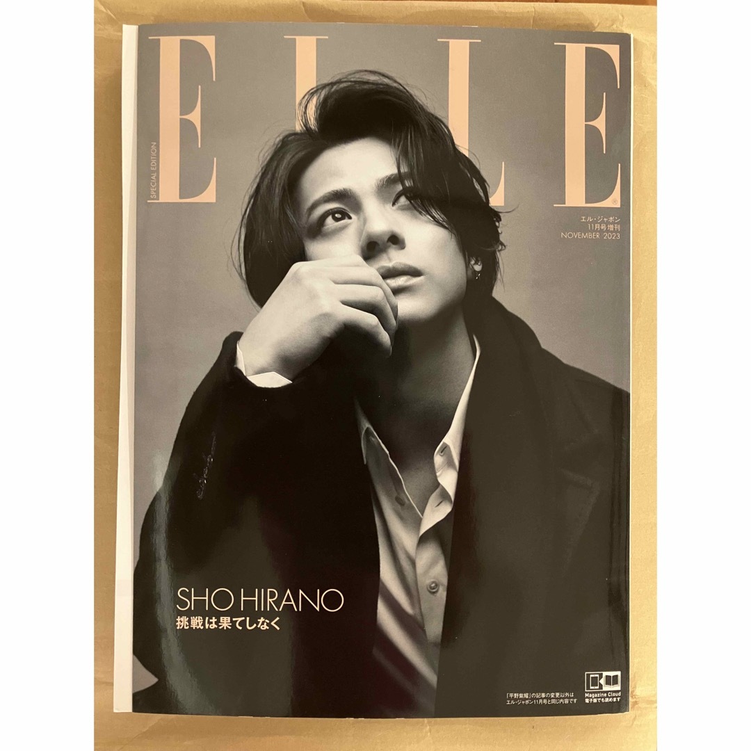 ELLE(エル)のELLE エルジャポン 平野紫耀特別版 2023年11月号増刊 エンタメ/ホビーの雑誌(ファッション)の商品写真