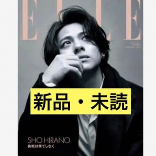 エル(ELLE)の平野紫耀　ELLE JAPON  エルジャポン 11月号(ファッション)