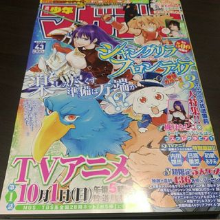 コウダンシャ(講談社)の週刊少年マガジン   43号   応募券無(アート/エンタメ/ホビー)