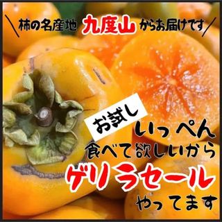 和歌山県産　種無し柿　たねなし柿　箱込み1kg以上(フルーツ)