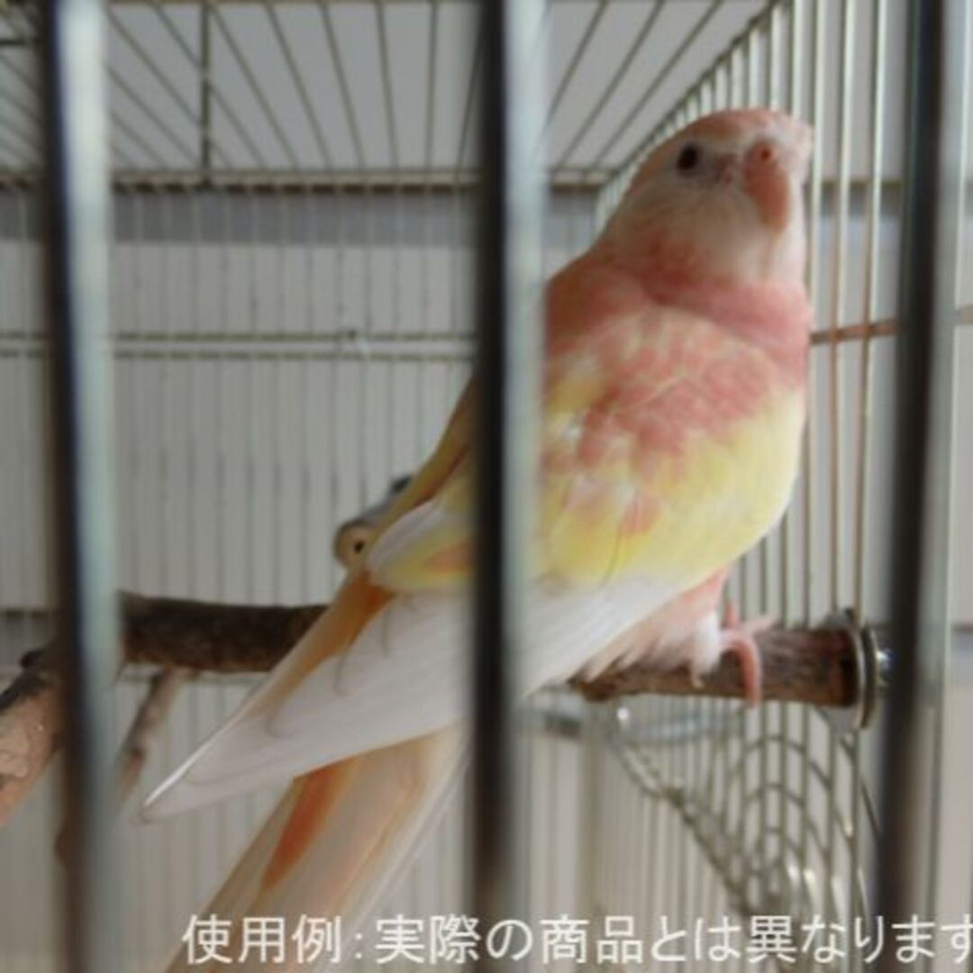 フルーツ止まり木　りんご　インコ・小鳥用 その他のペット用品(鳥)の商品写真