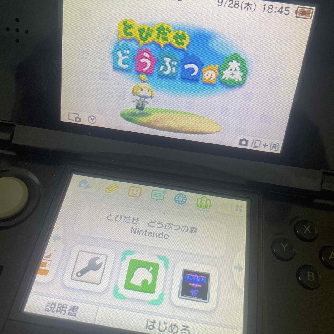 ニンテンドー 3DS レッド 牧場物語 つながる新天地 セット