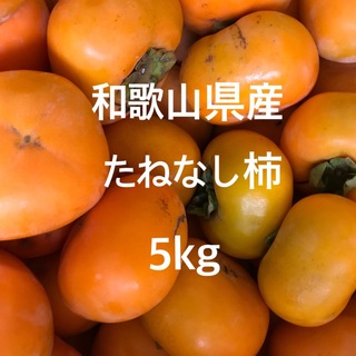 和歌山県産 約5kg たねなし柿 刀根早生柿 ご家庭用(フルーツ)