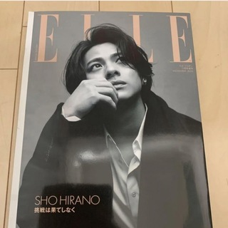 エル(ELLE)のELLE JAPON 2023年11月号増刊  エルジャポン(ファッション)