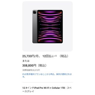 iPad Pro 第6世代 1TB Cellular + Wi-Fiモデル