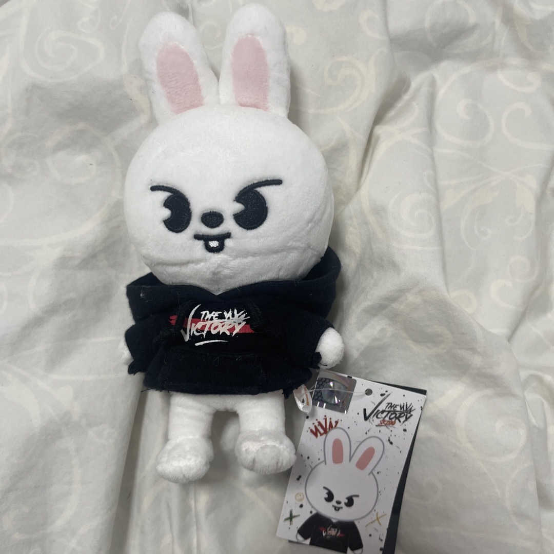 straykids ペンミ リービット SKZOO服- straykids ペンミ リービット SKZOO服-