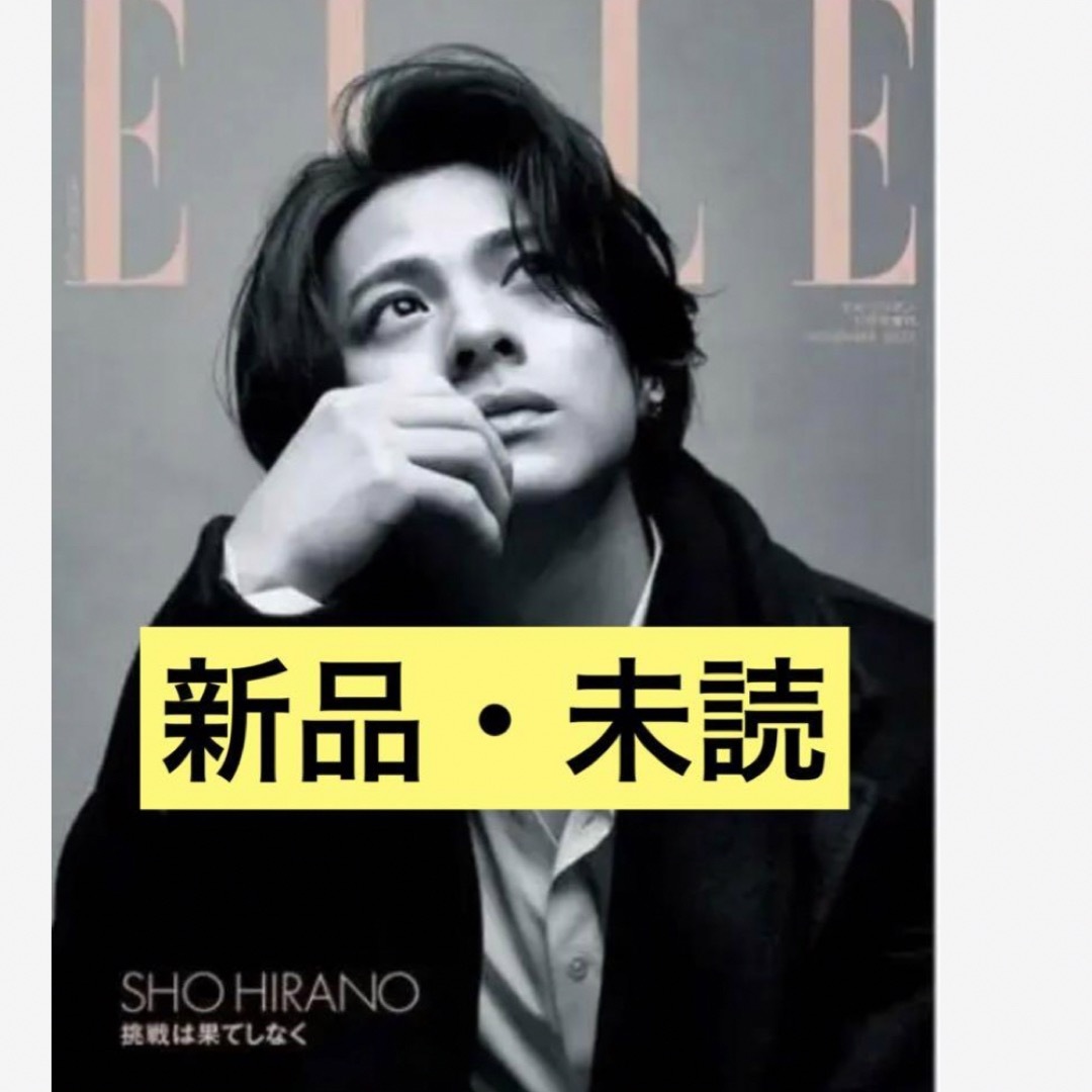 ELLE(エル)の平野紫耀　エルジャポン　ELLE JAPON 2023年 11月号増刊 特別版 エンタメ/ホビーの雑誌(ファッション)の商品写真