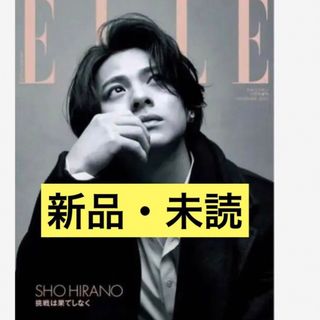 エル(ELLE)の平野紫耀　エルジャポン　ELLE JAPON 2023年 11月号増刊 特別版(ファッション)