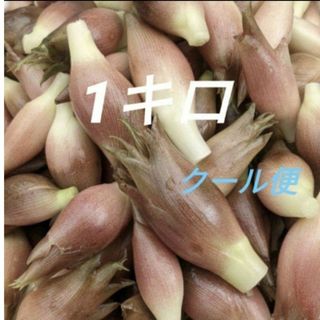 Tさん専用(野菜)