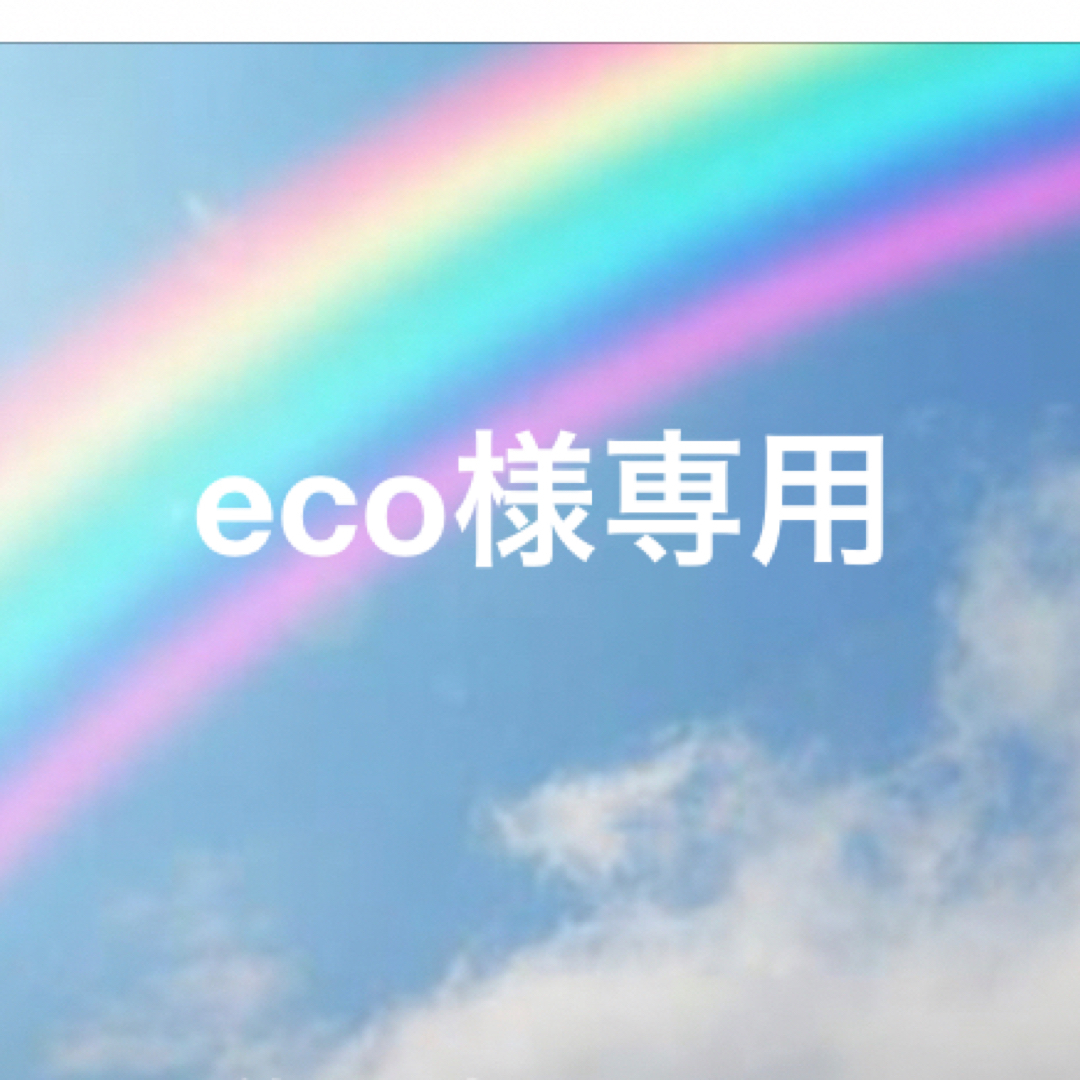 eco様専用の通販 by 値引き中 tm's shop|ラクマ