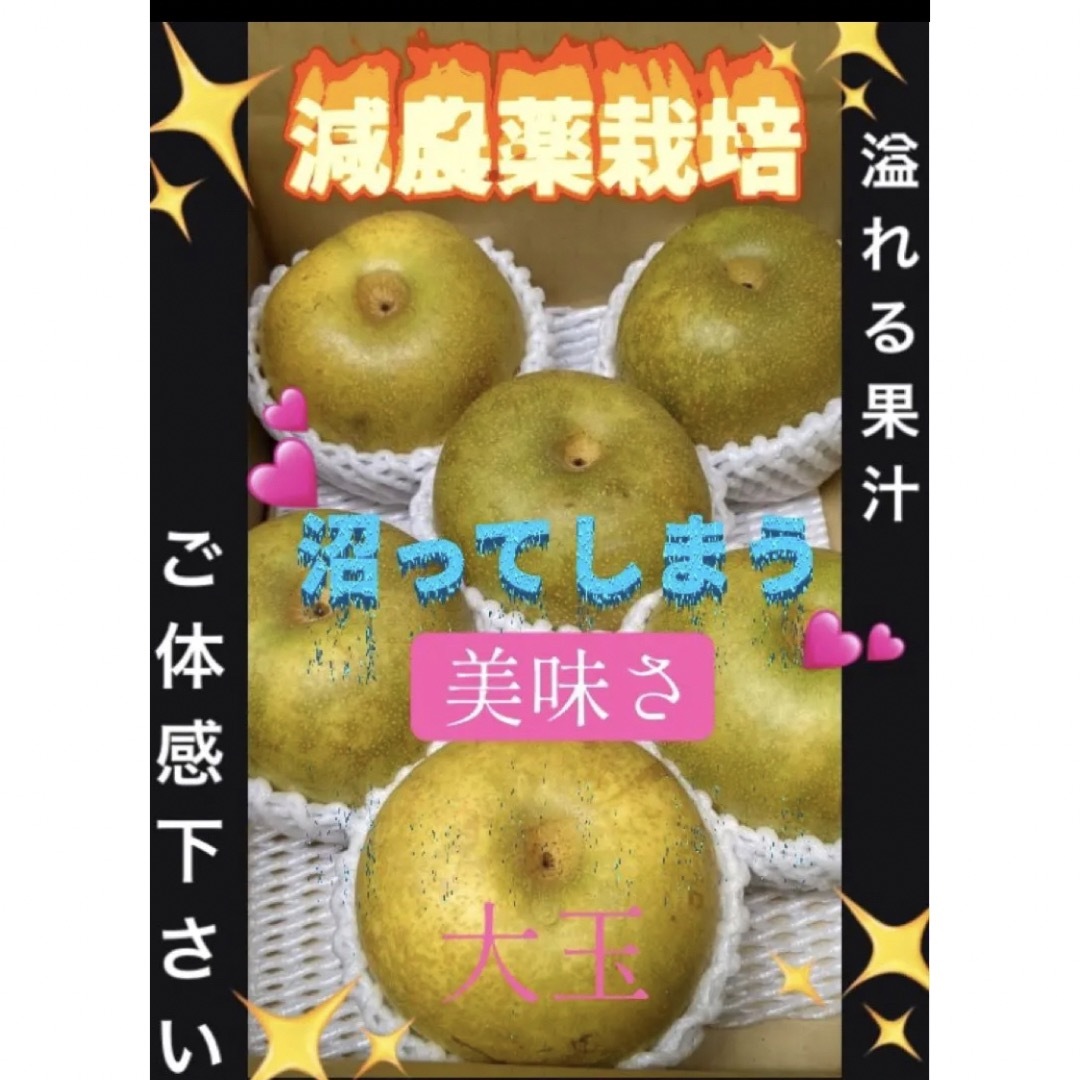 減農薬栽培山形県東根市産　by　ゆうりん413's　和梨ジューシー❣️　ラストに相応しい大玉❣️2キロ箱の通販　shopプロフ必読｜ラクマ