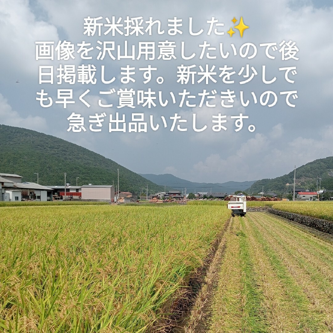 【大人気★即完売するお米】愛媛県産あきたこまち100%　新米５Kg　農家直送 食品/飲料/酒の食品(米/穀物)の商品写真