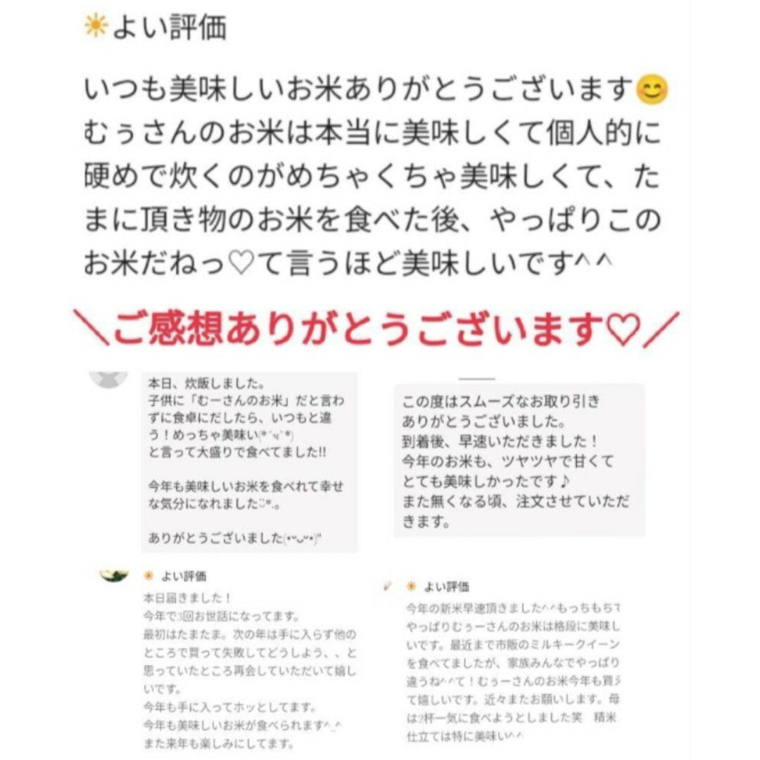 【大人気★即完売するお米】愛媛県産あきたこまち100%　新米５Kg　農家直送 食品/飲料/酒の食品(米/穀物)の商品写真