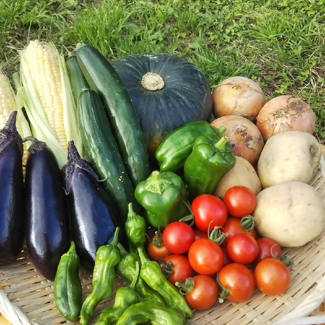 ショコラ様専用 食品/飲料/酒の食品(野菜)の商品写真