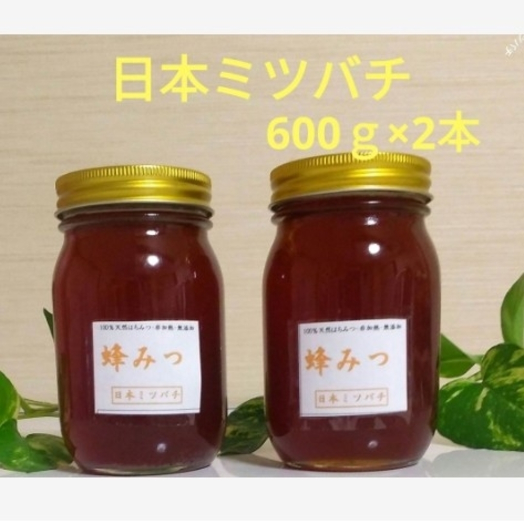 日本ミツバチの蜂蜜  600g×2本ハチミツ