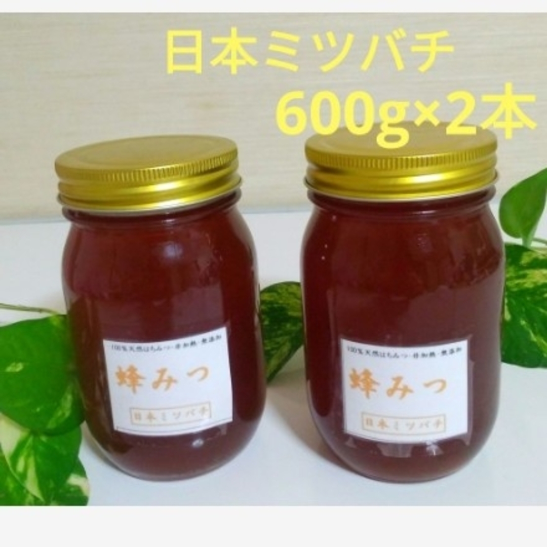 日本ミツバチの蜂蜜  600g×2本 食品/飲料/酒の食品(その他)の商品写真