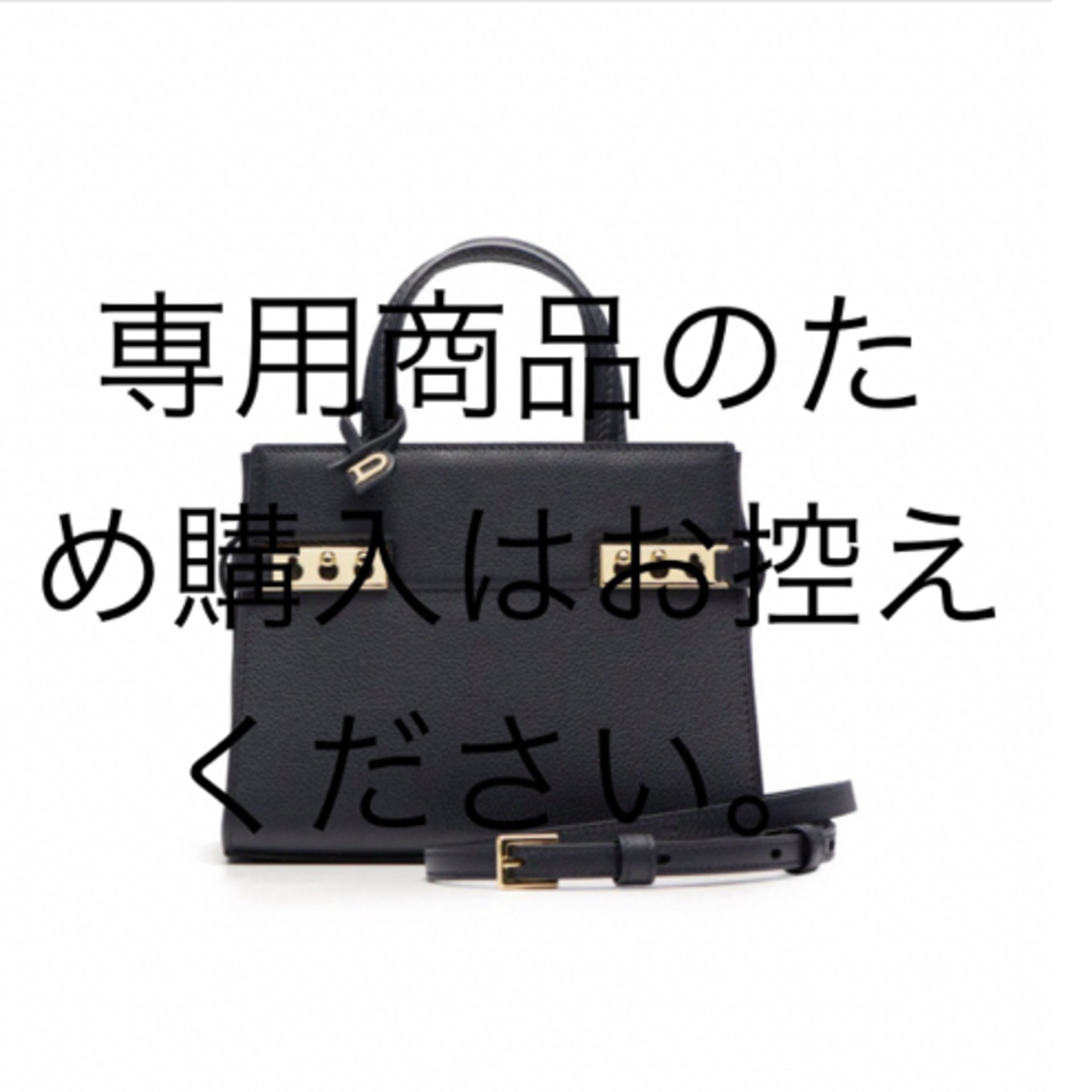 レディース⭐︎専用⭐︎ 美品　DELVAUX デルヴォー タンペート クラッシュ　黒