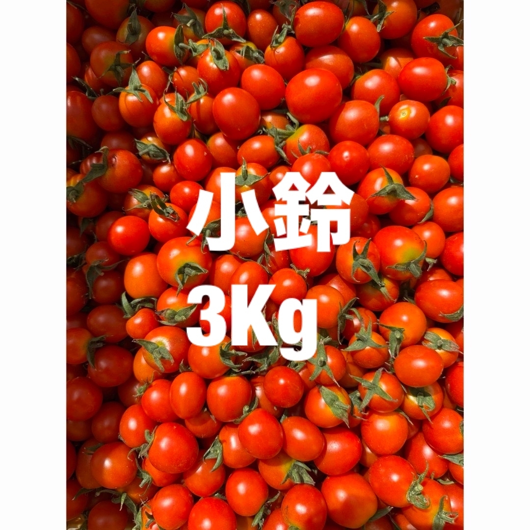 熊本産地直送ミニトマト 食品/飲料/酒の食品(野菜)の商品写真