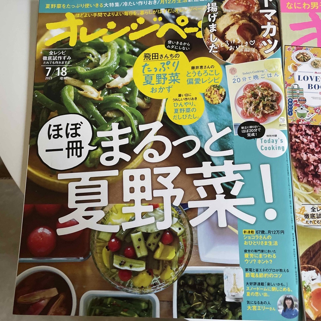 オレンジページ増刊 ほぼ一冊 まるっと夏野菜! 2023年 7/18号 エンタメ/ホビーの雑誌(料理/グルメ)の商品写真