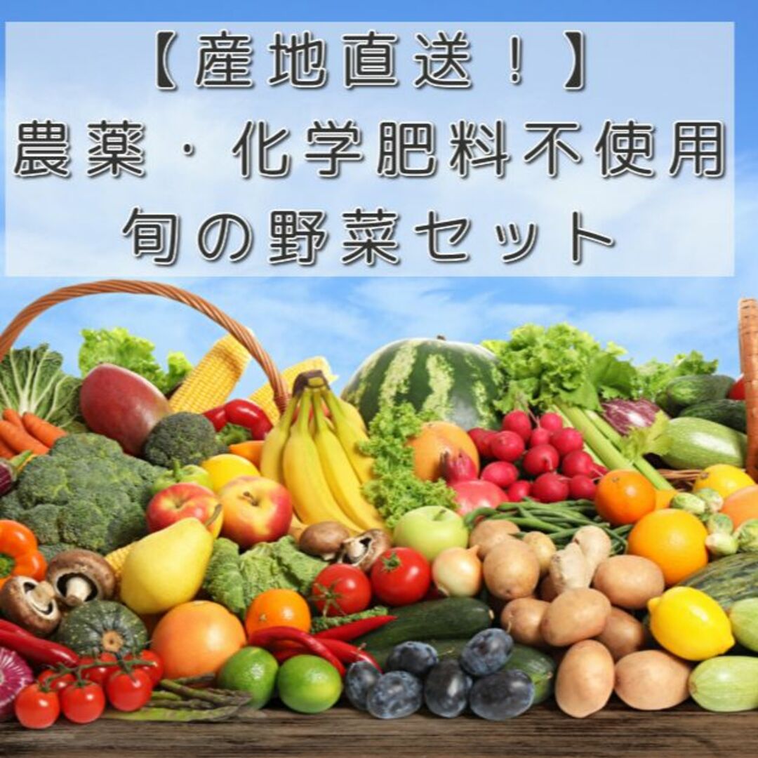 ★とってぃ様専用【農薬化学肥料不使用】季節のお野菜セット　M 食品/飲料/酒の食品(野菜)の商品写真