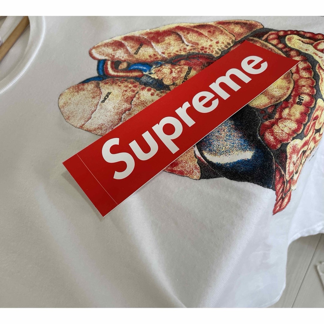 Supreme GUTS TEE XLサイズ