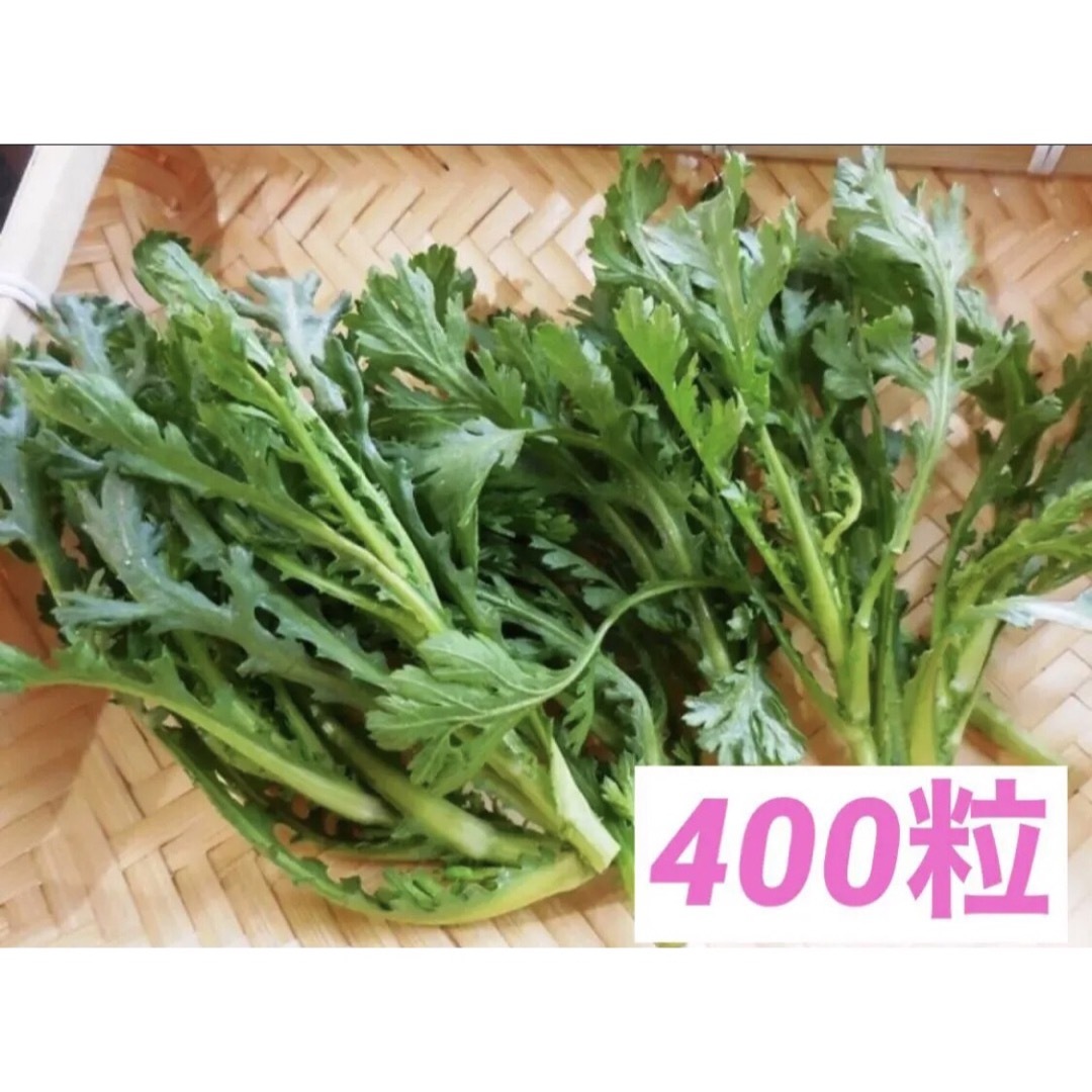 昭和からの味 春菊 シュンギク 400粒 1.2g 2ml◆家庭菜園 食品/飲料/酒の食品(野菜)の商品写真