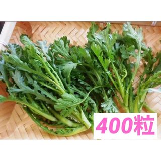 昭和からの味 春菊 シュンギク 400粒 1.2g 2ml◆家庭菜園(野菜)