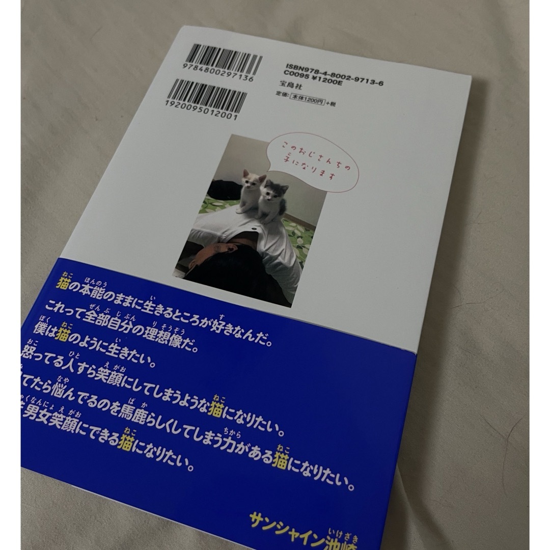 宝島社(タカラジマシャ)の空前絶後の保護猫ライフ！池崎の家編 エンタメ/ホビーの本(アート/エンタメ)の商品写真