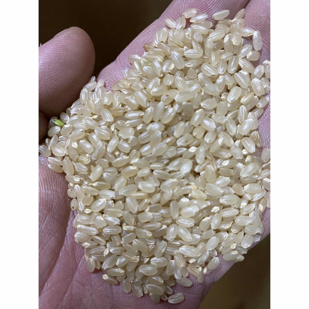 新米!私が作りました山形県産令和5年産ひとめぼれ30キロ玄米 新米!私が作りました山形県産令和5年産ひとめぼれ30キロ玄米