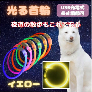 光る 首輪 イエロー LEDライト USB充電 犬 ドッグ おしゃれ 夜の散歩(犬)