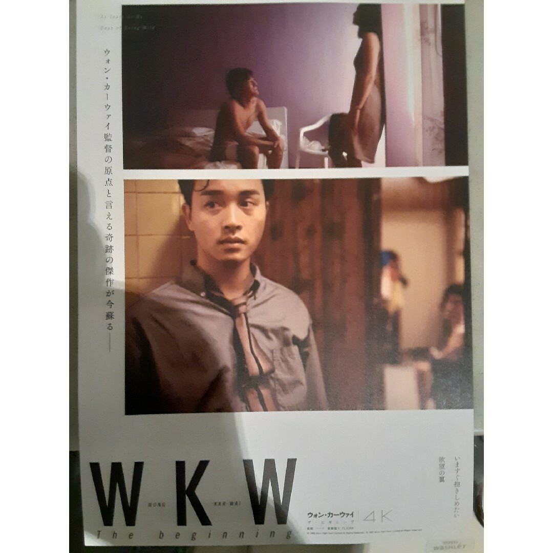 ウォン・カーウァイ WKM 4K 映画 チラシ 50枚セット レスリー・チャン