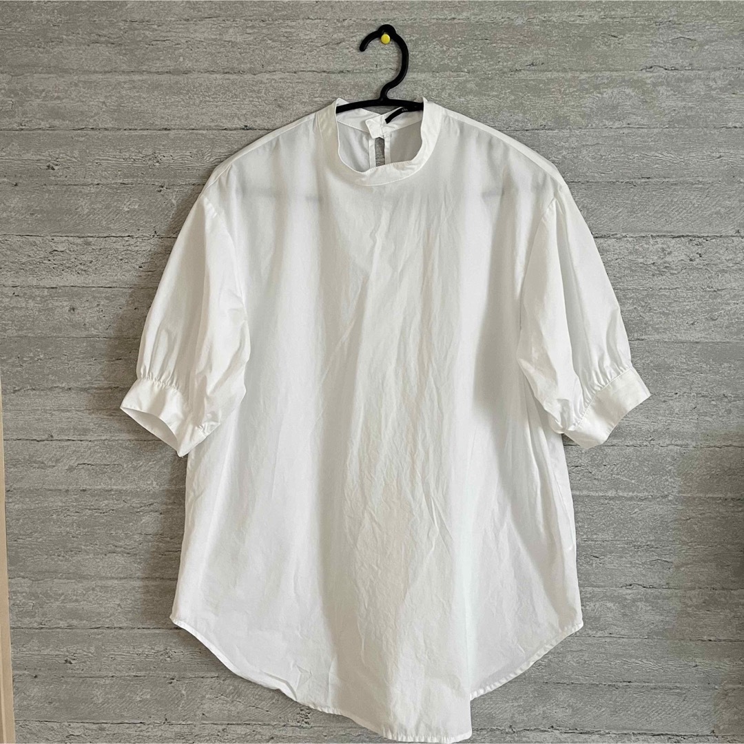 zampa(ザンパ)のZAMPA レースベスト付きプルオーバーシャツ サイズ　M  レディースのトップス(シャツ/ブラウス(長袖/七分))の商品写真