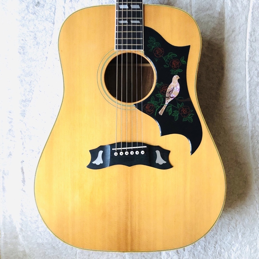 ★美品★alvarez AD70 トップ単板　L.R.Baggs搭載　エレアコ