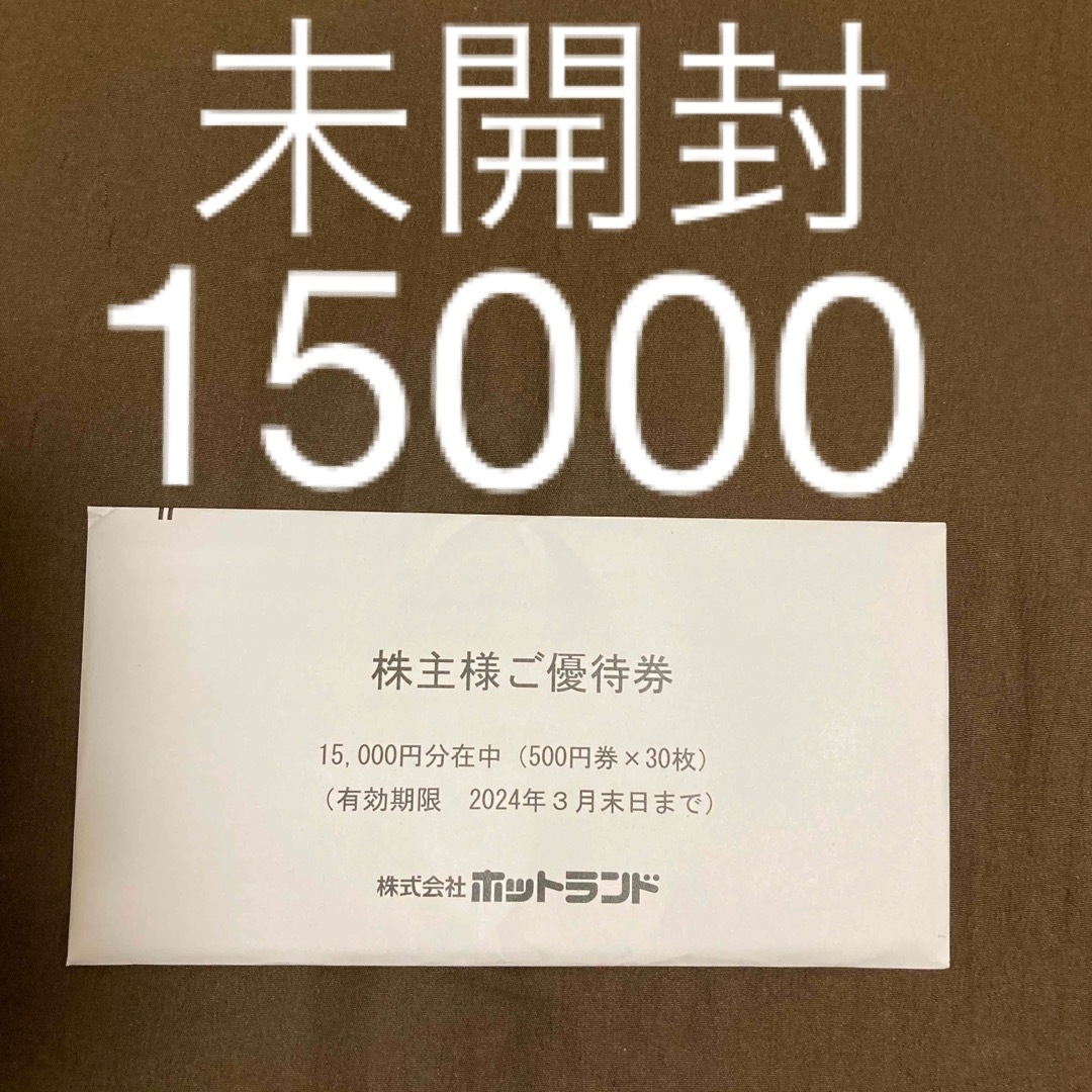 銀だこ　ホットランド　株主優待　37500円分