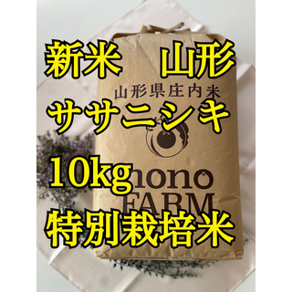 令和３年新米　山形県庄内産　雪若丸　玄米10kg　Ｇセレクション　特別栽培米