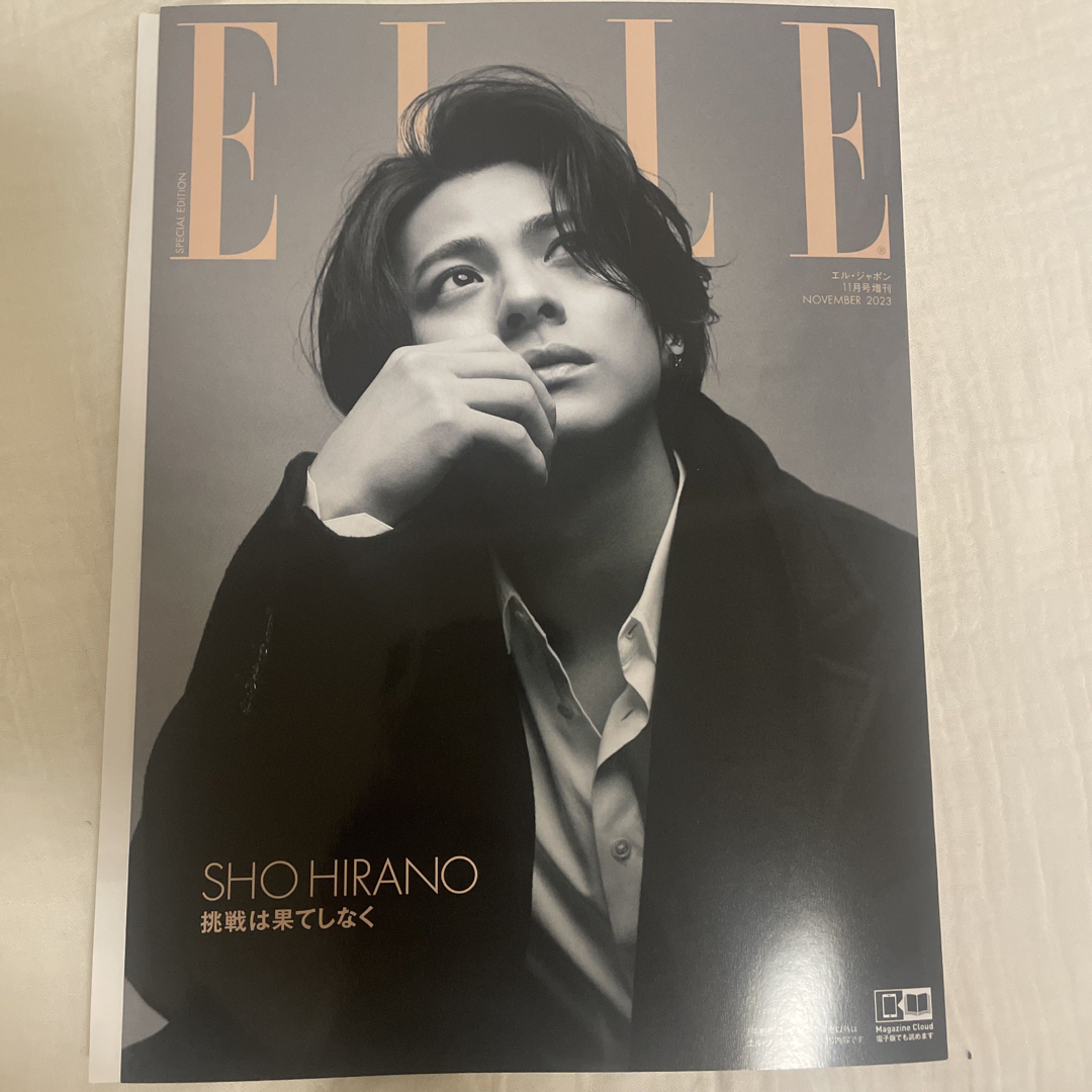 ELLE(エル)の増刊 ELLE JAPON (エル・ジャポン) 特別版 2023年 11月号 エンタメ/ホビーの雑誌(その他)の商品写真