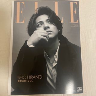 エル(ELLE)の増刊 ELLE JAPON (エル・ジャポン) 特別版 2023年 11月号(その他)