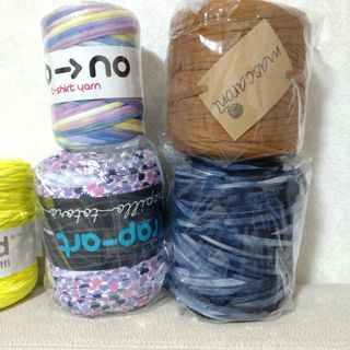 ハシビロコウ様専用　ズパゲッティ(生地/糸)