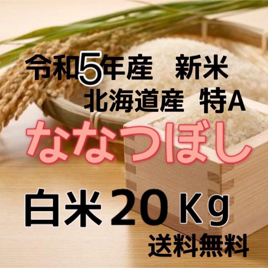 新米】令和5年産　ななつぼし　20kg　北海道米　白米　米/穀物