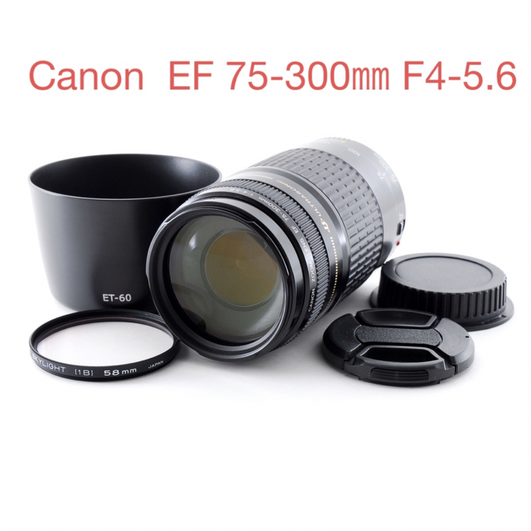 フード付き　人気の望遠レンズ　キヤノン　Canon EF75-300㎜