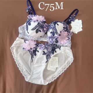 【新品】wacoal サルート 24g ブラ ショーツセット C75M PU
