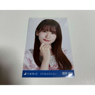 ノギザカフォーティーシックス(乃木坂46)の【8】乃木坂46 菅原咲月 生写真 さざ波は戻らない ヨリ(アイドルグッズ)