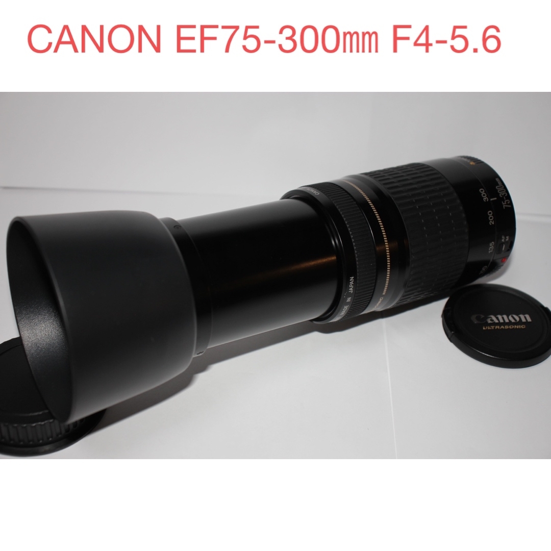 極上品☆超望遠レンズ☆キャノン☆Canon EF75-300㎜I USM