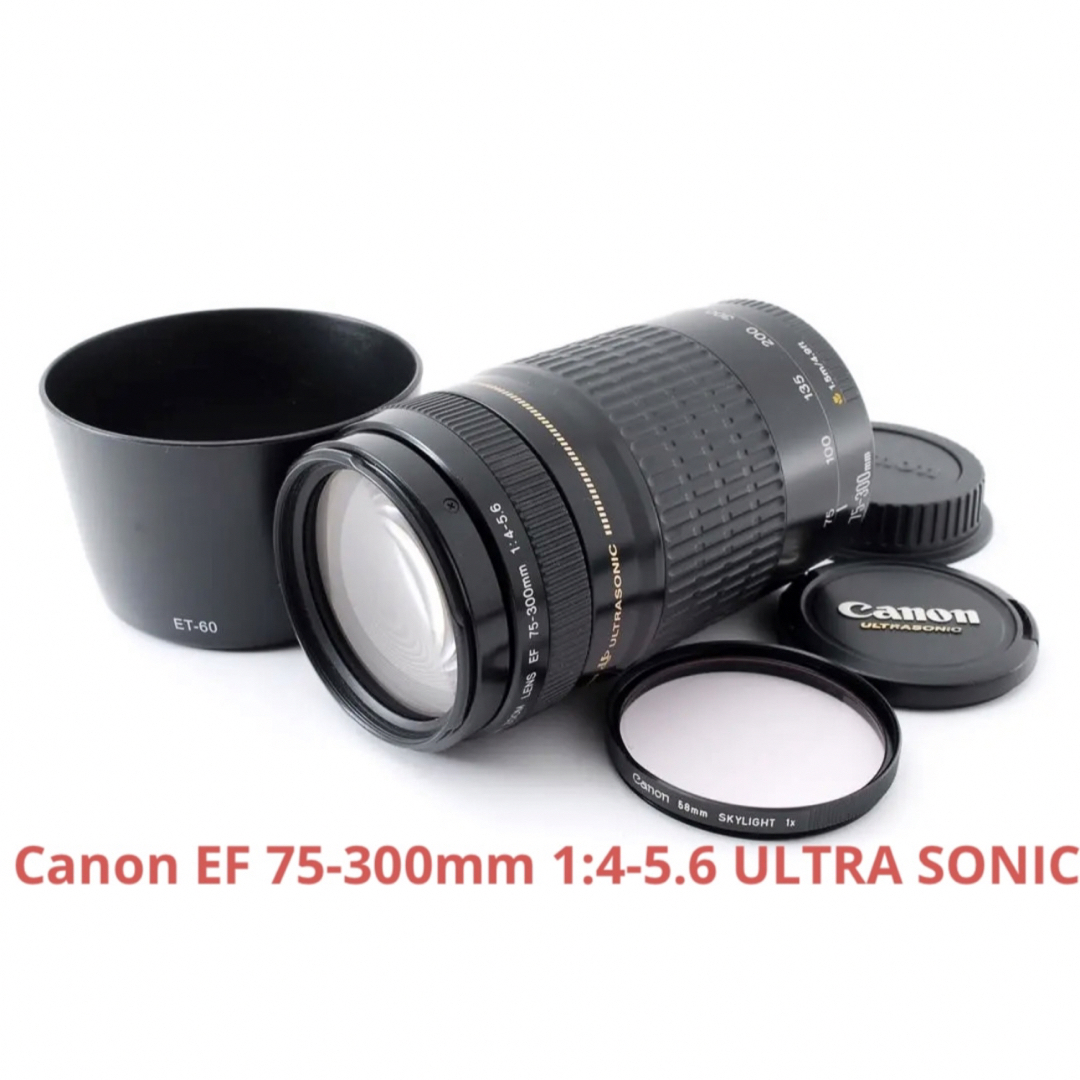 Canon 一眼レフCANON ZOOM LENS EF 75-300mm 1:4-5.6の通販 by camera12's shop｜キヤノン ならラクマ