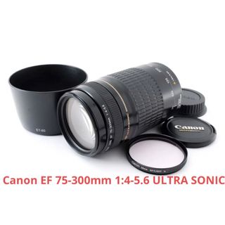 CANON ZOOM LENS EF 75-300mm 4-5.6の通販 400点以上 | フリマアプリ