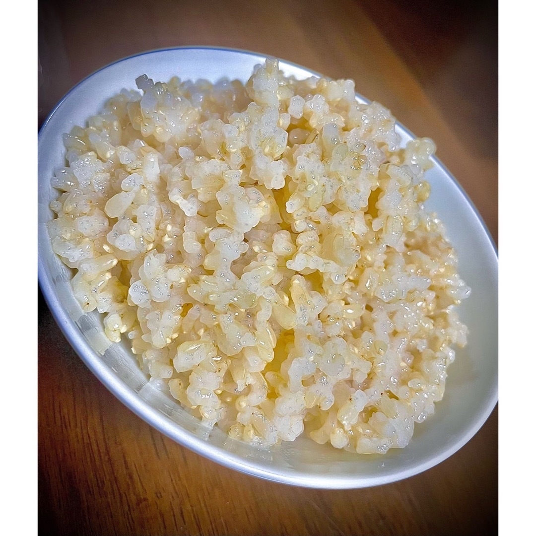 準自然米　発芽玄米におすすめ-　福岡県産「元気つくし」令和５年産　玄米20kg