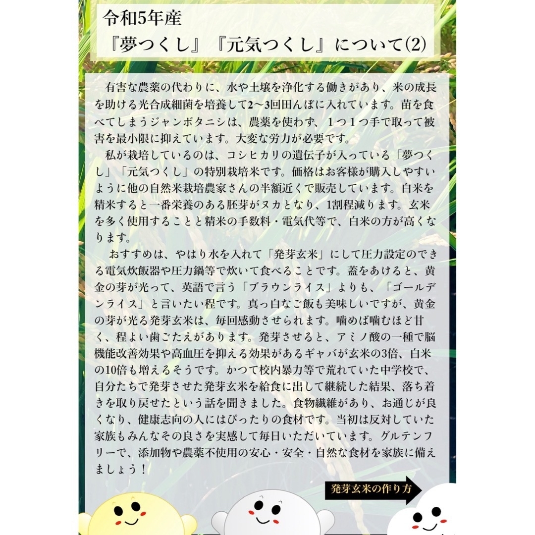 米/穀物　玄米20kg　福岡県産『元気つくし』令和４年産　準自然米)　発芽玄米用に